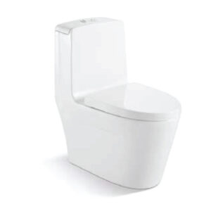 One Piece Toilet T7701