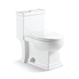 One Piece Toilet T7702