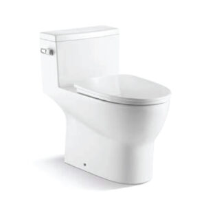 One Piece Toilet T7707