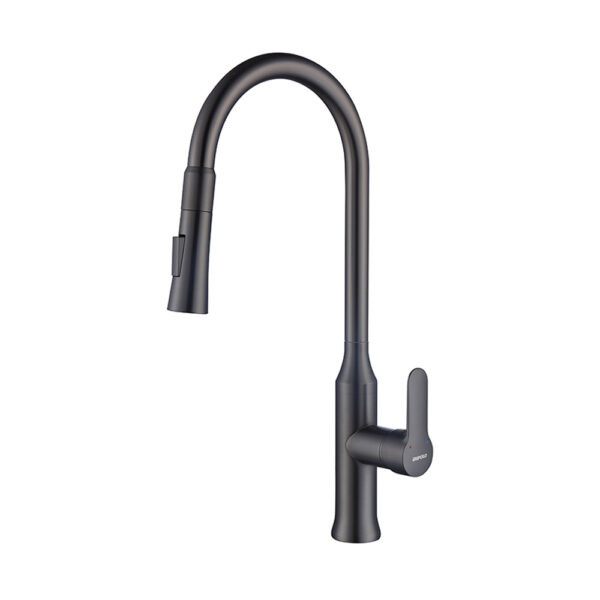 kitchen faucet Gray Matte